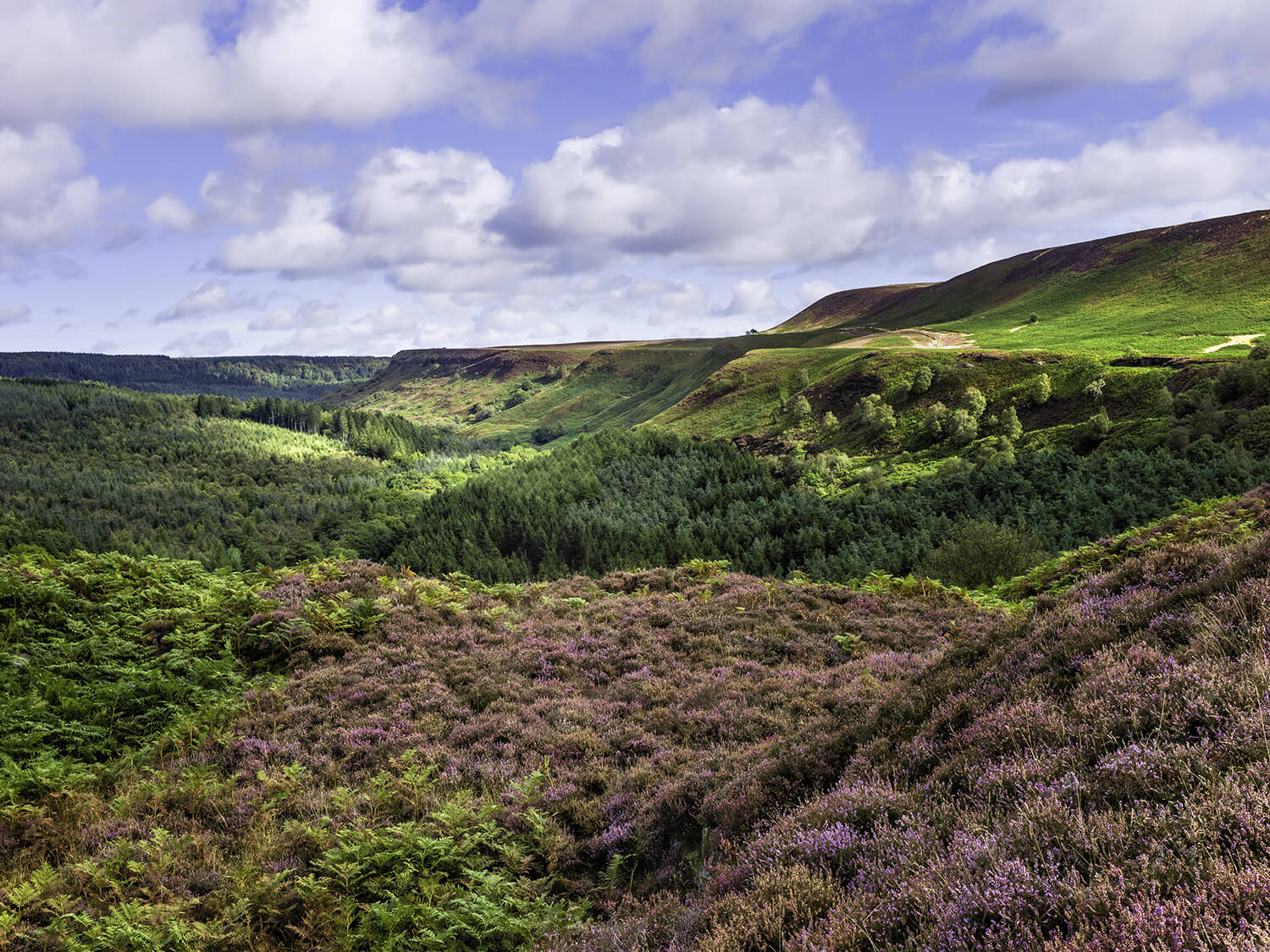 North York Moors